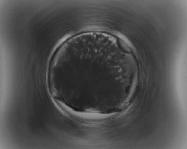 X0000085221237200703301656