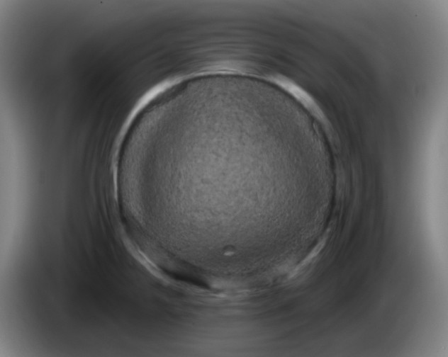 X0000085221238200703301656