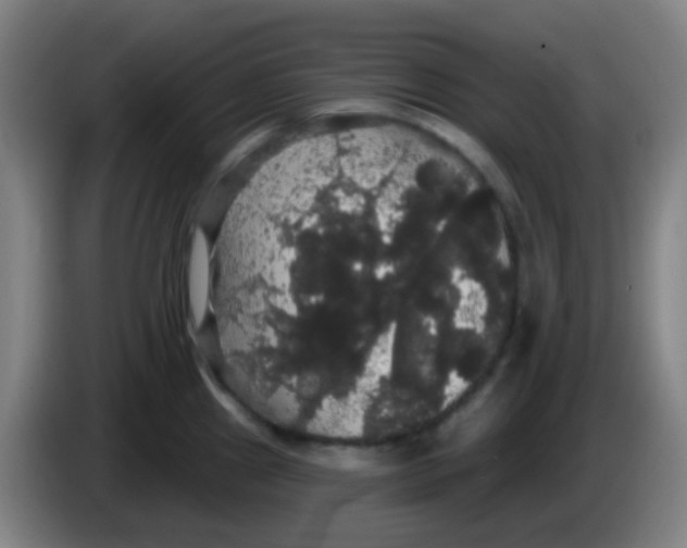 X0000085221241200703301656
