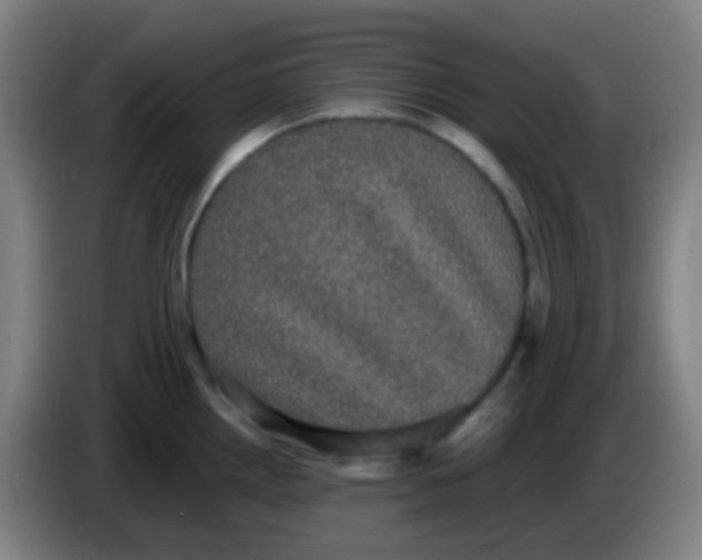 X0000085221242200703301656