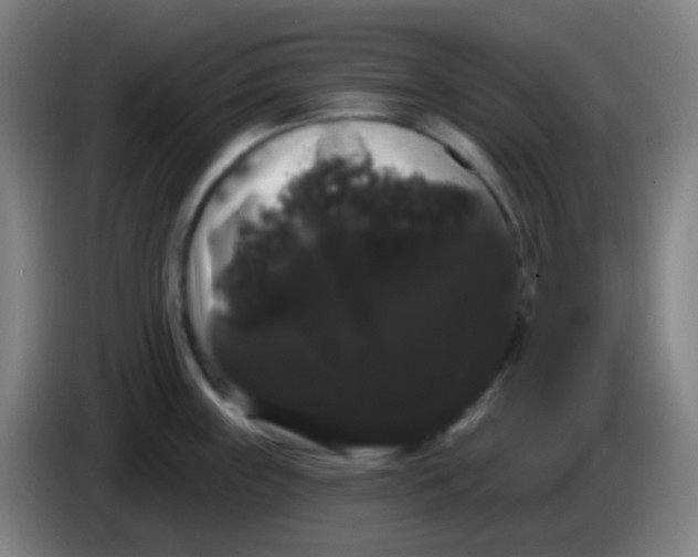 X0000085221243200703301656