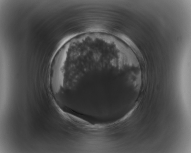 X0000085221244200703301656