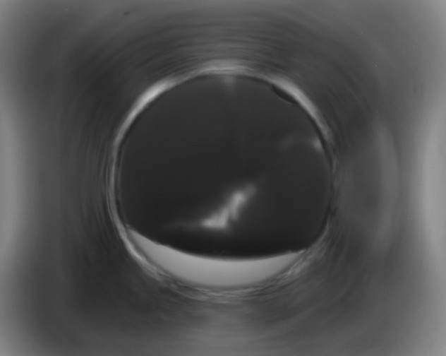 X0000085221245200703301656