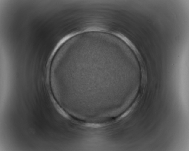 X0000085221246200703301656