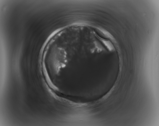 X0000085221248200703301656