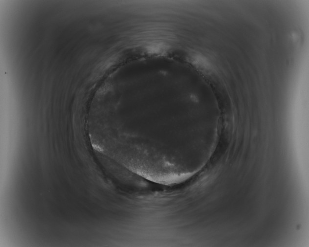 X0000085221249200703301656