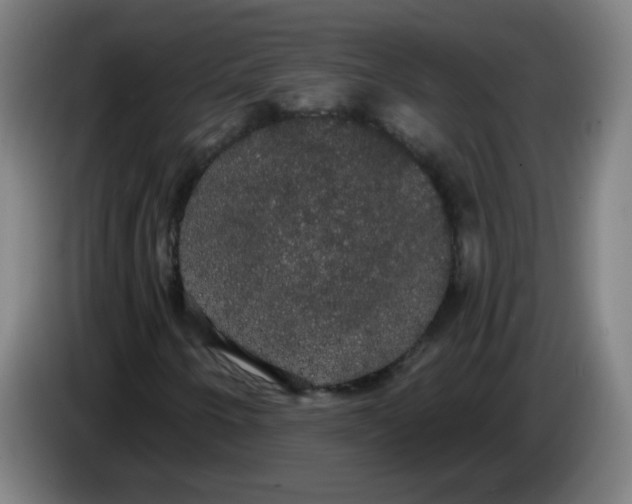 X0000085221250200703301656