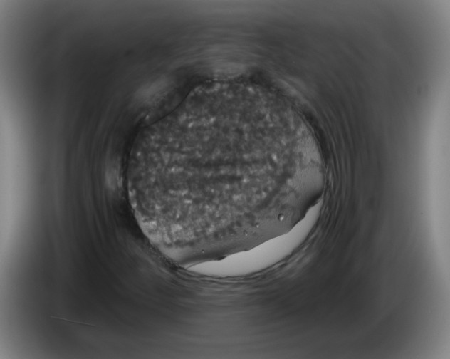 X0000085221252200703301656