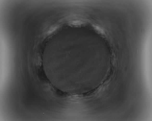 X0000085221253200703301656