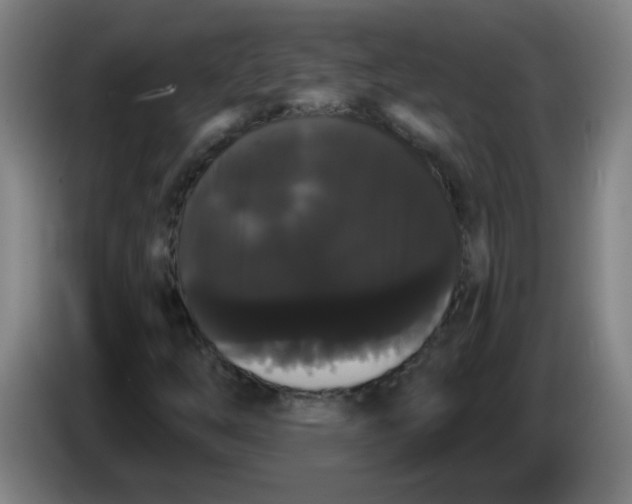 X0000085221254200703301656