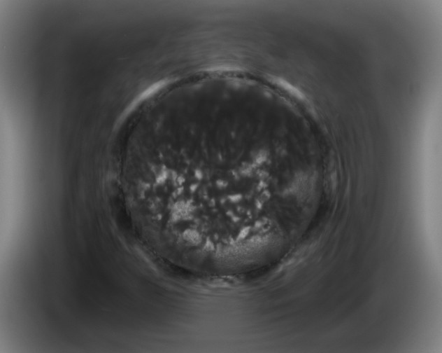 X0000085221255200703301656