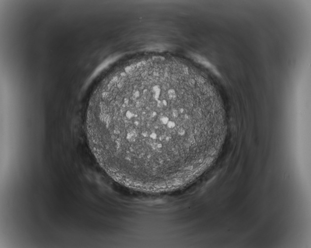 X0000085221256200703301656