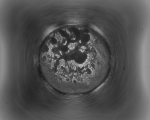 X0000085221259200703301656