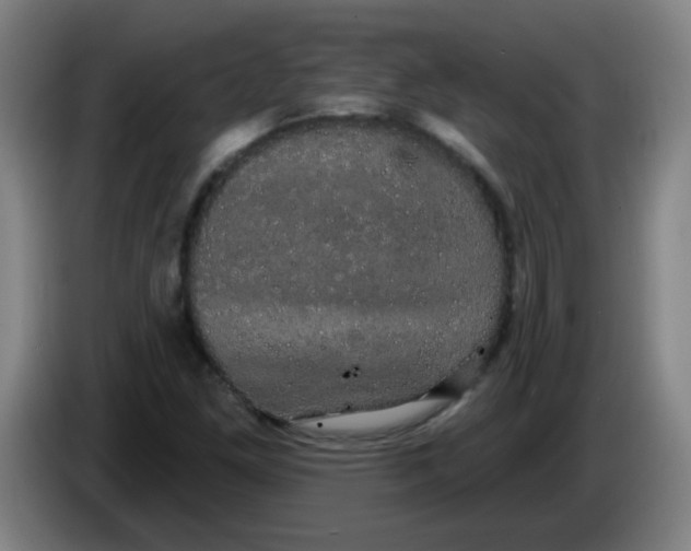 X0000085221261200703301656