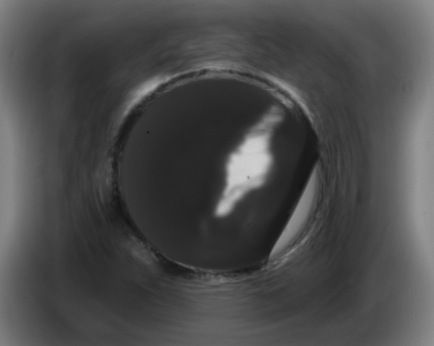 X0000085221263200703301656