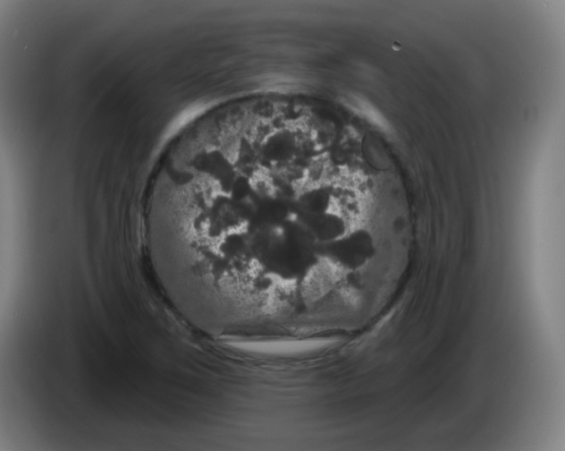 X0000085221267200703301655