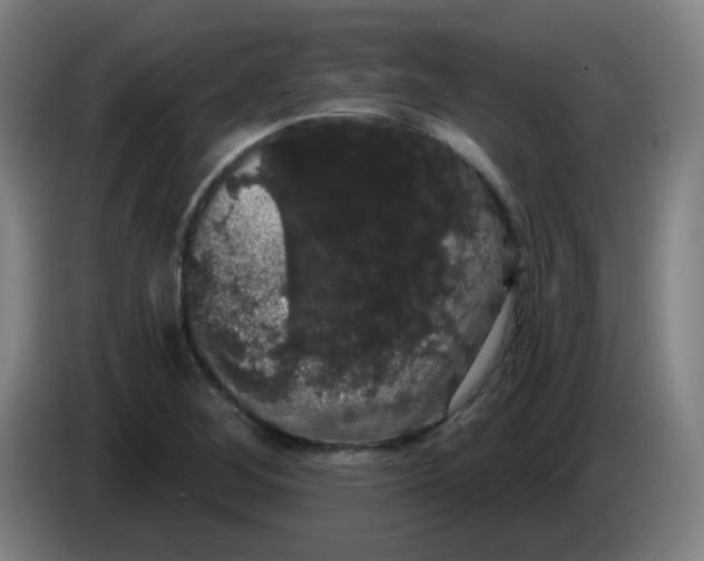 X0000085221268200703301655