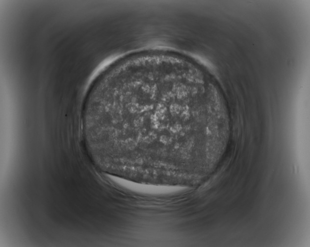 X0000085221271200703301655