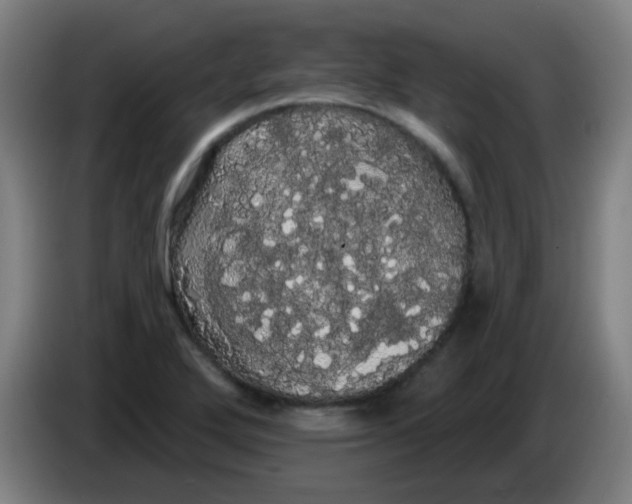 X0000085221272200703301655