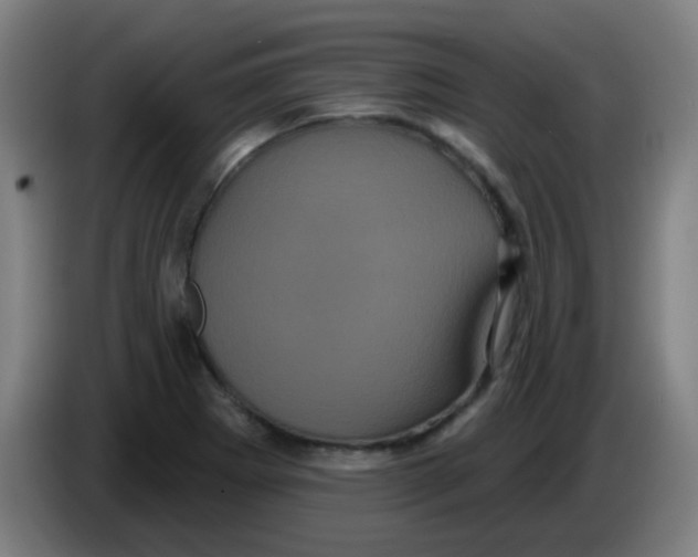X0000085221273200703301655