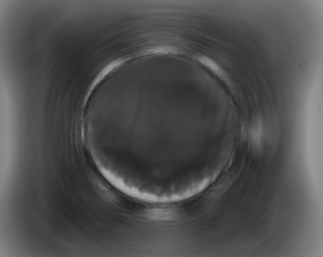X0000085221274200703301655