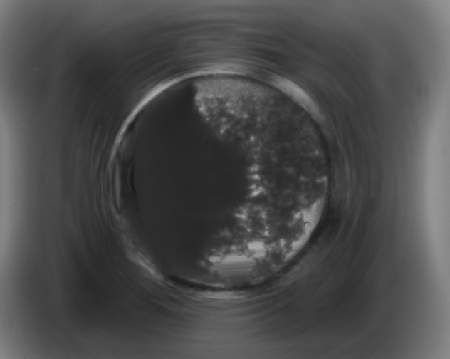 X0000085221276200703301655