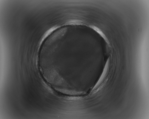 X0000085221277200703301655