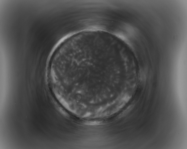 X0000085221278200703301655