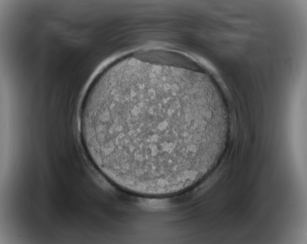 X0000085221280200703301655