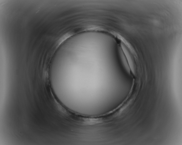 X0000085221281200703301655