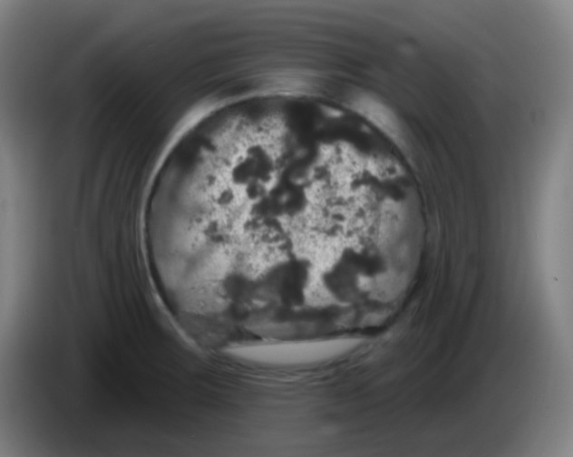 X0000085221283200703301655