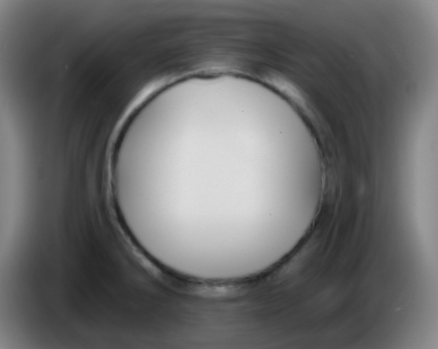 X0000085221286200703301655