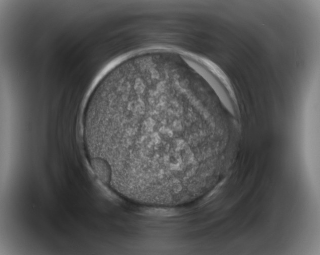 X0000085221287200703301655