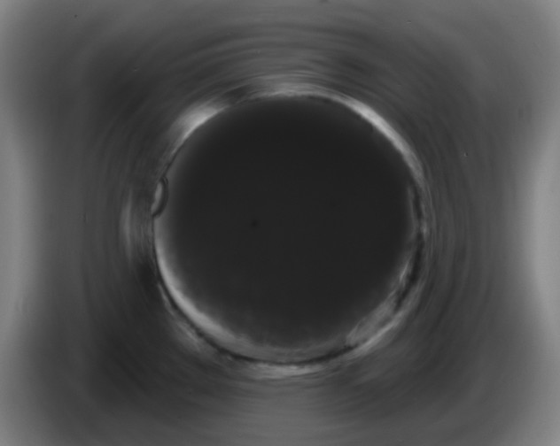 X0000085221289200703301655