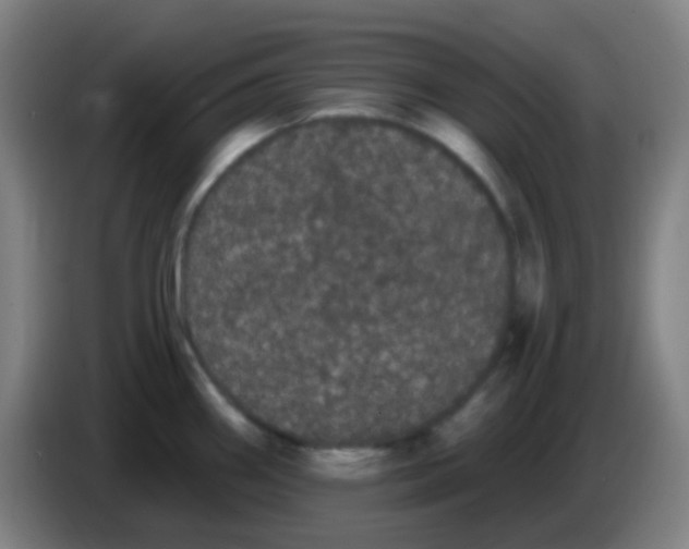 X0000085221290200703301655