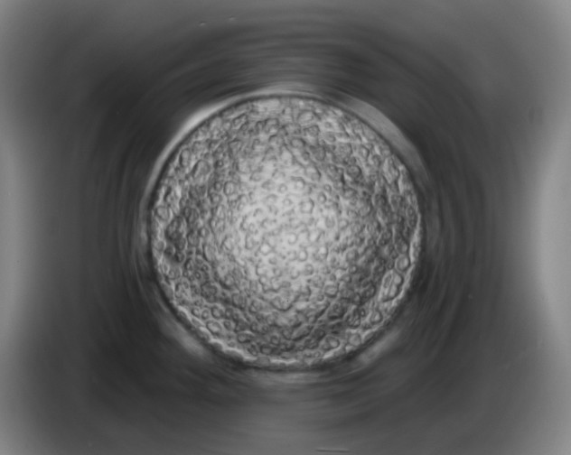 X0000085221292200703301655