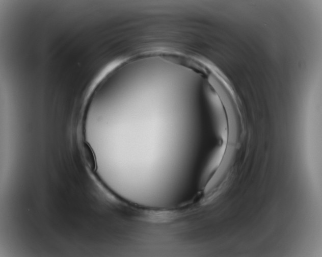 X0000085221293200703301655