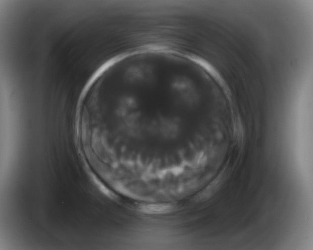 X0000085221294200703301655