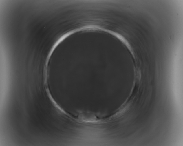 X0000085221295200703301655