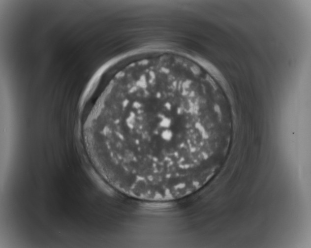 X0000085221296200703301655