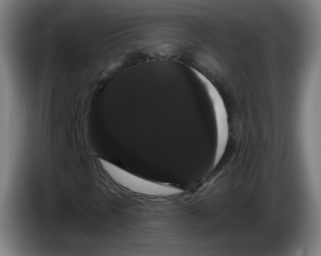 X0000085221297200703301654