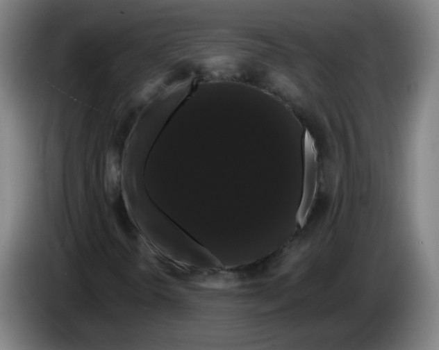 X0000085221298200703301654