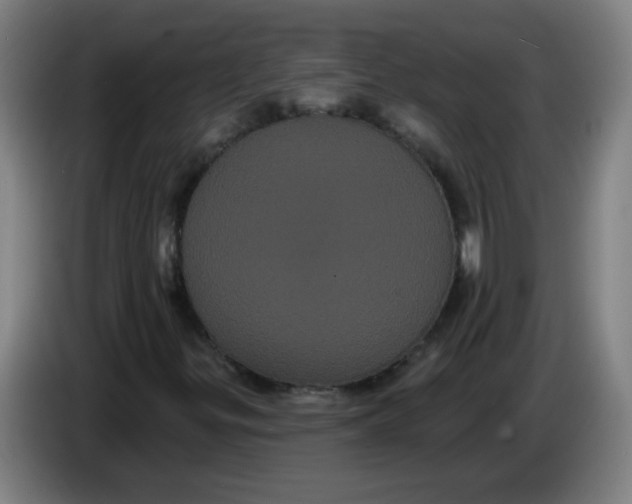 X0000085221299200703301654