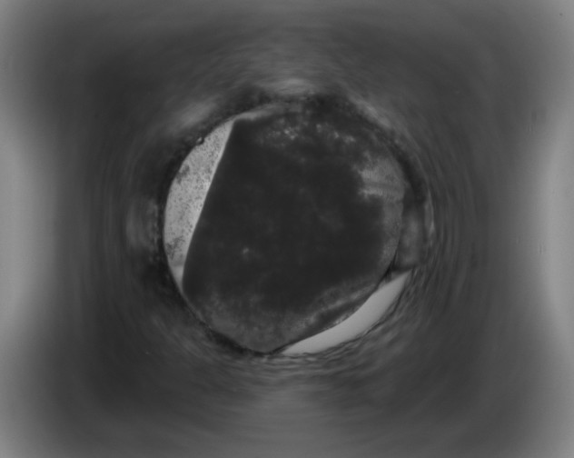 X0000085221301200703301654