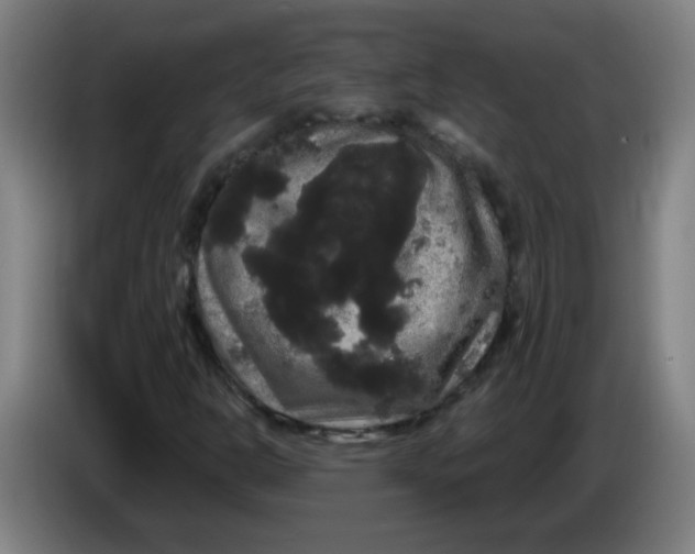 X0000085221302200703301654