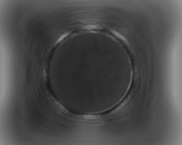 X0000085221305200703301654