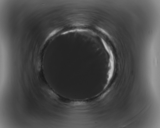 X0000085221306200703301654