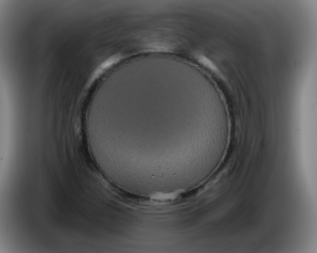 X0000085221307200703301655