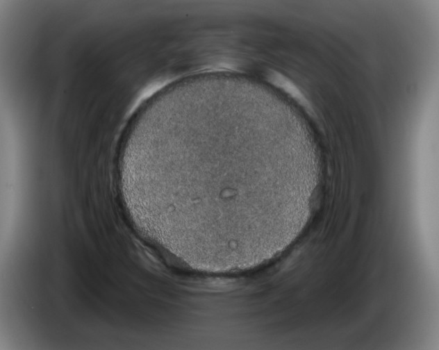 X0000085221308200703301655