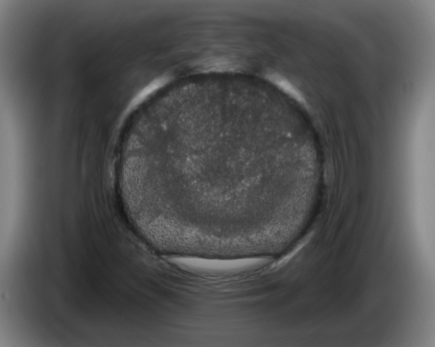 X0000085221309200703301655